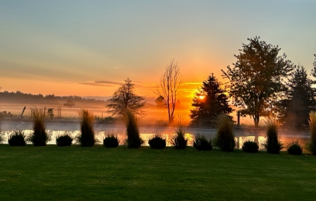 A misty sunrise over a pond surrounded by trees and grass