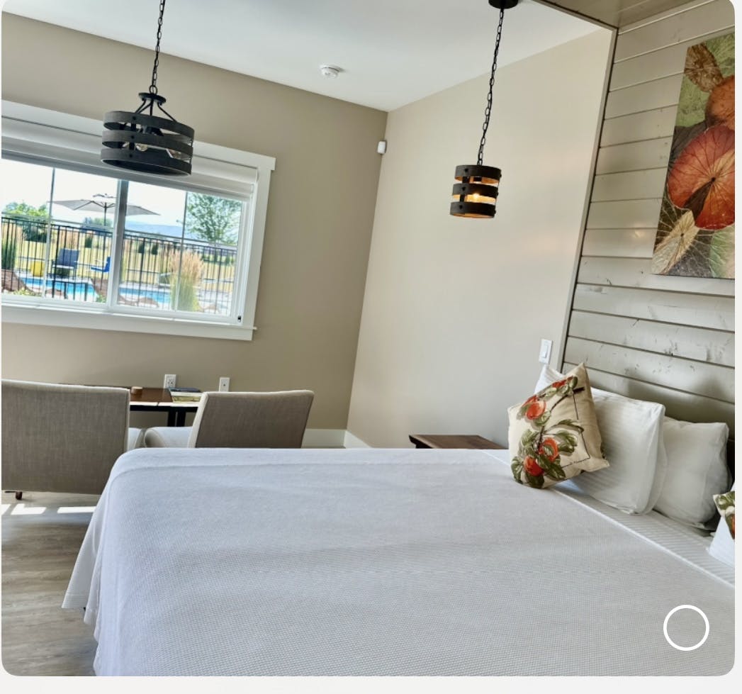 A view of the Loess Suite looking out to the pool, showing a king-sized bed which can be reconfigured into two twin beds, a live-edge black walnut bedside table and a coffee table with simple black metal legs, comfortable seats in a beige fabric, mood lights in an antique wood and black metal finish, original artwork done by your hostess, Naina, on dried lotus leaves, in shades of orange, brown and beige, cushions printed with red apples and green leaves that pick up the artwork colors, dark beige walls, a light brown wood canopy, a white ceiling fan and a white barn door hanging on black metal hardware, leading to the bathroom and a window looking out into the private Zen garden with its outdoor hot water shower. On the bottom right corner the top of the wine barrel that houses a mini wine fridge topped with two stemless logo wine glasses can be seen. The floor is light gray laminate plank. The overall look is of uncluttered elegance and harmonized colors.