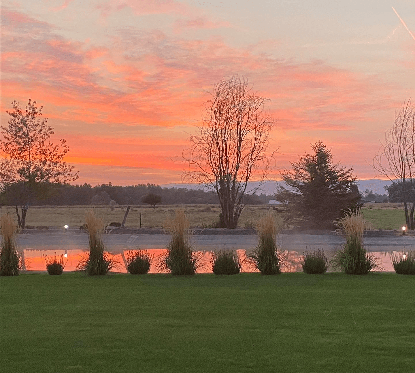 A pond surrounded by grass and trees at sunset