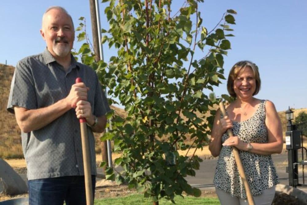 A man and woman holding shovels standing by a freshly planted tree