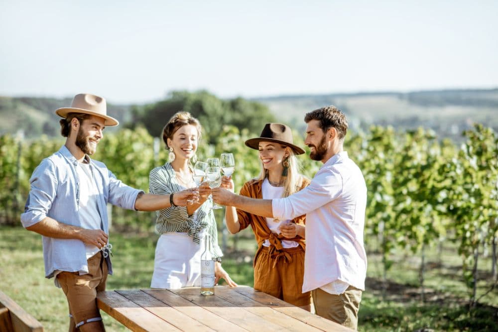 Four people toasting wine glasses at a table in the middle of a vineyard on a sunny day