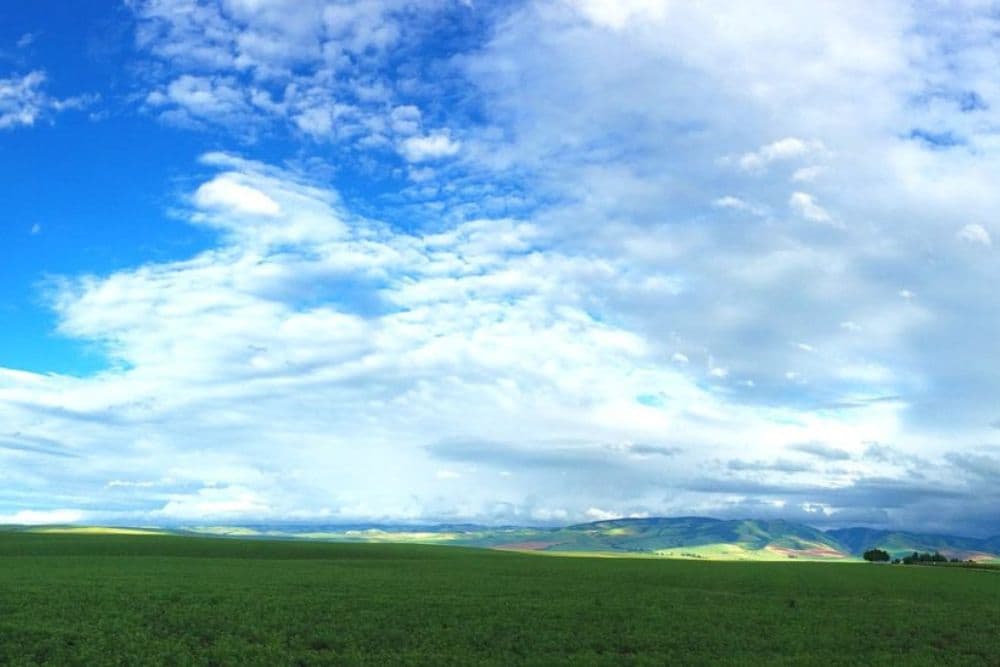 A panoramic view of an expanse of open land covered in green and blue skies with clouds above