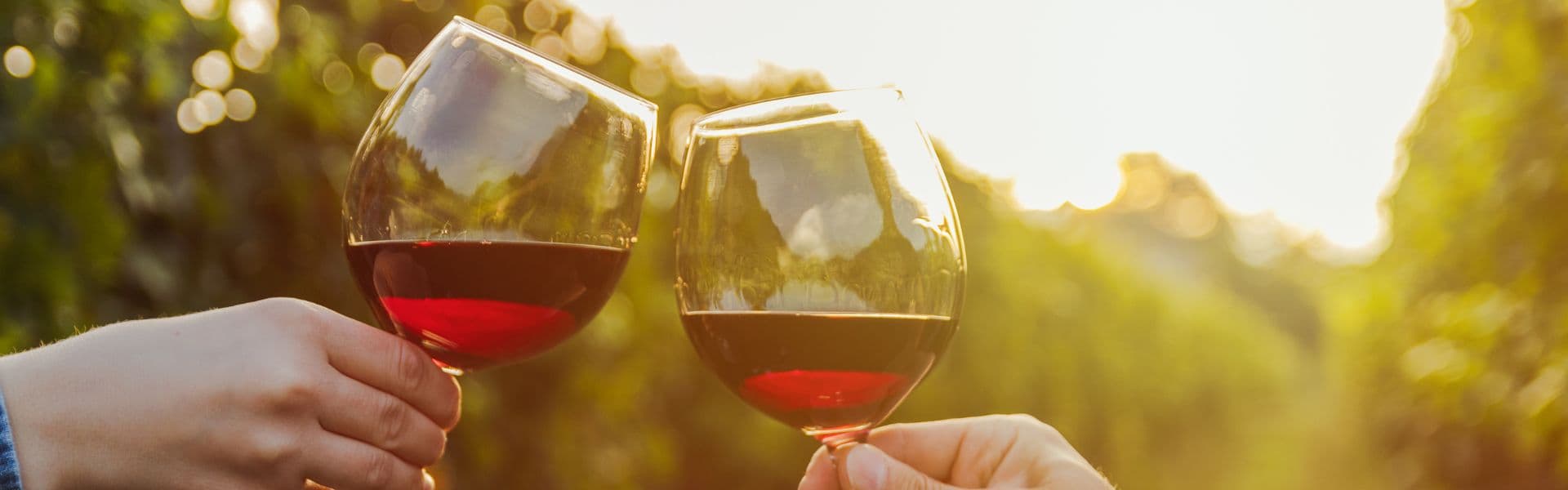 Two people toasting glasses of wine in between rows of a vineyard