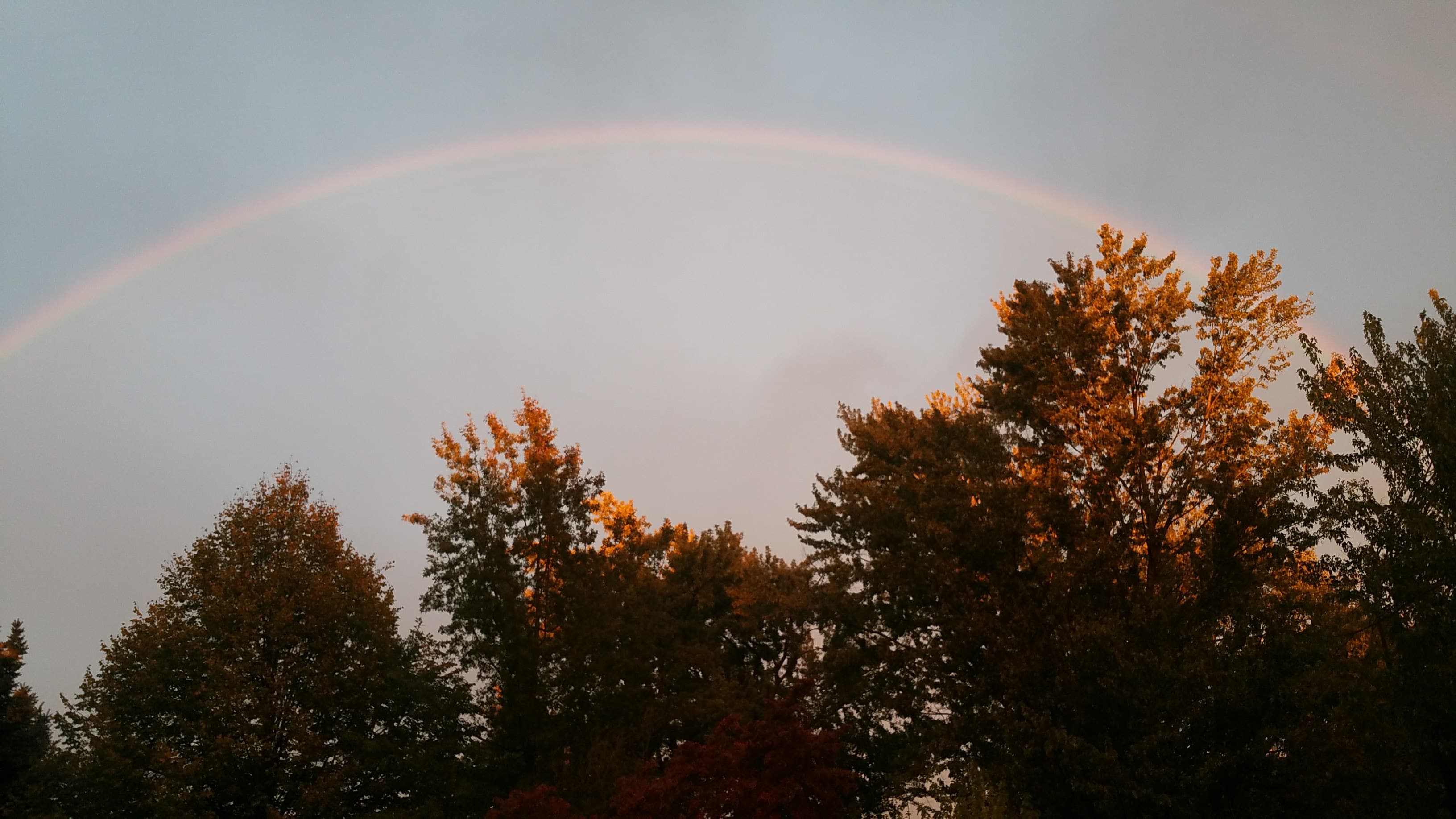 Fall rainbow in Walla Walla Fall rainbow in Walla Walla